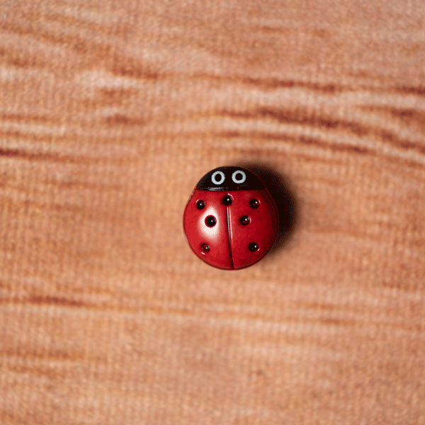 Dill Buttons Lady Bug