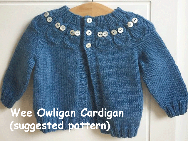 Wowligan (wee owligan) Cardigan Kit